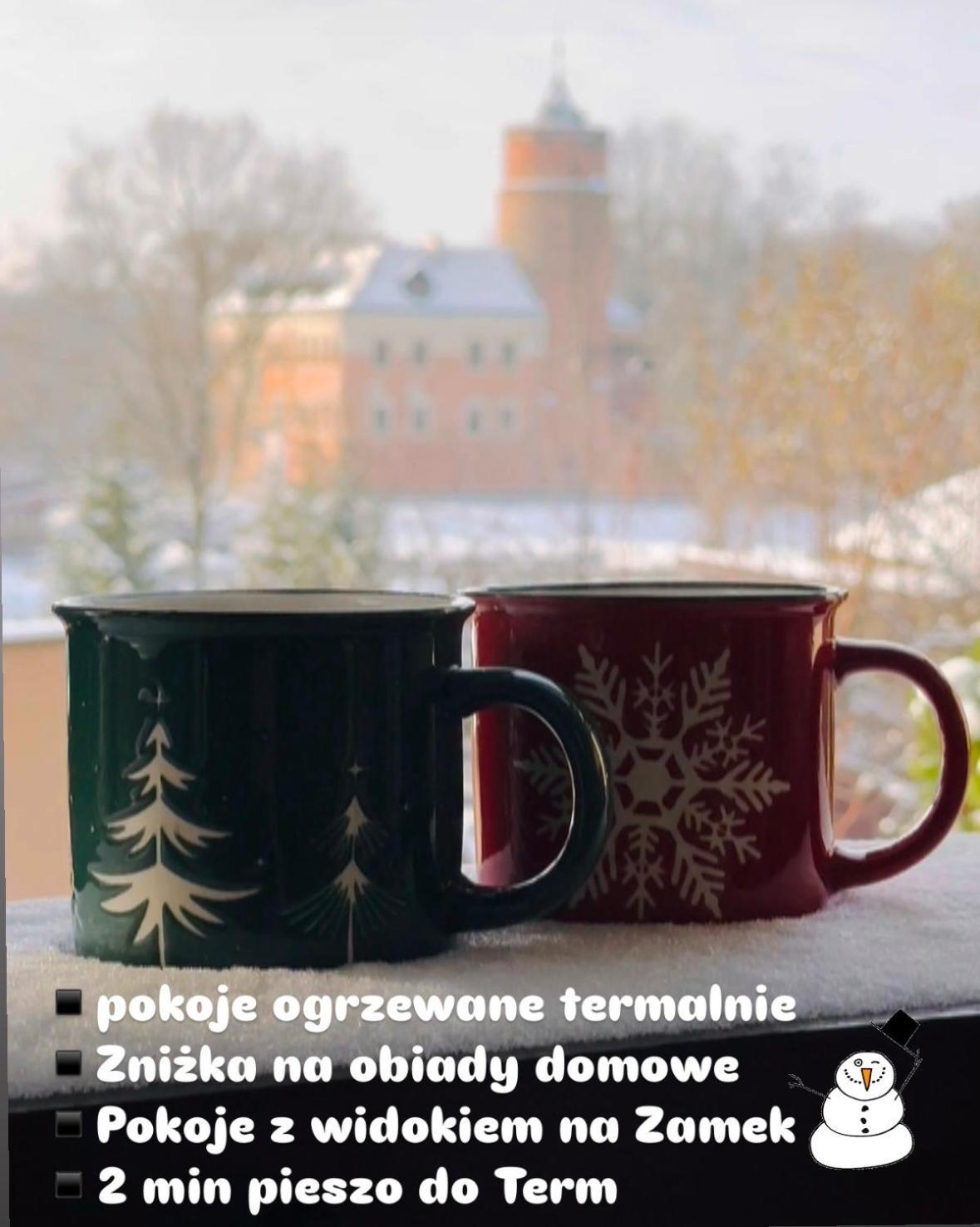 Pokoje Przy Bulwarach Uniejow Buitenkant foto